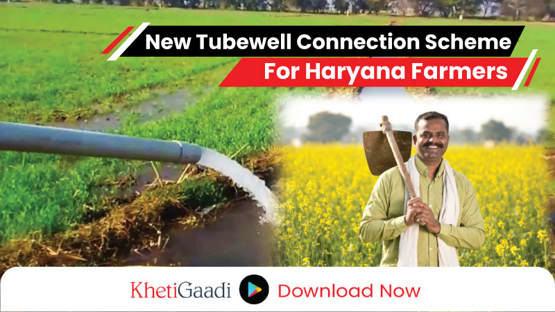 Haryana Government Launches Scheme for Tubewell Connections