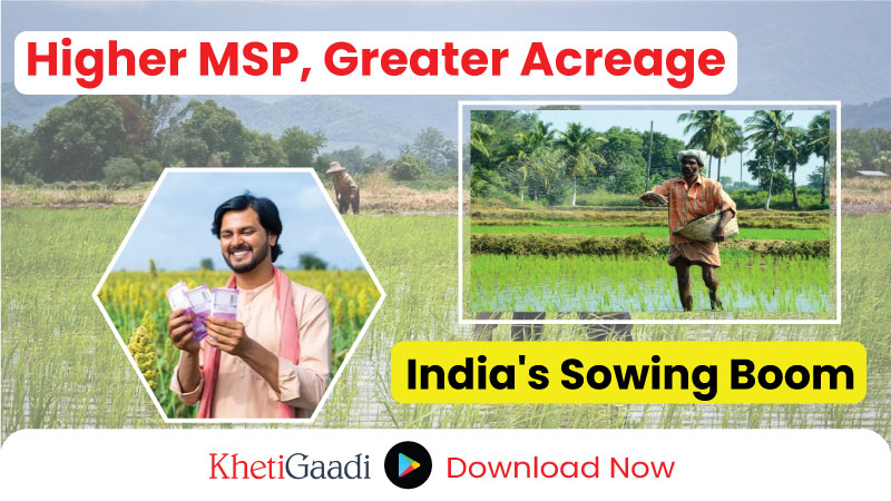 Increased MSP boosts sowing acreage by over 50% across India