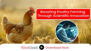 Entrepreneurship Development Through Diversified Poultry Farming and Hatchery Management 