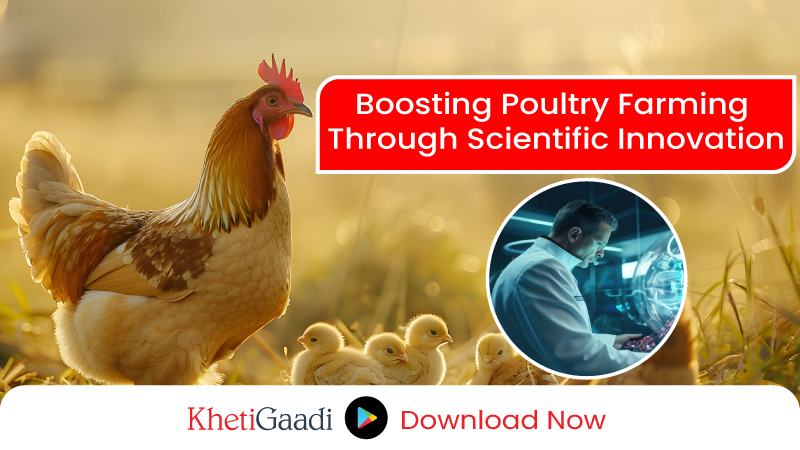 Entrepreneurship Development Through Diversified Poultry Farming and Hatchery Management 