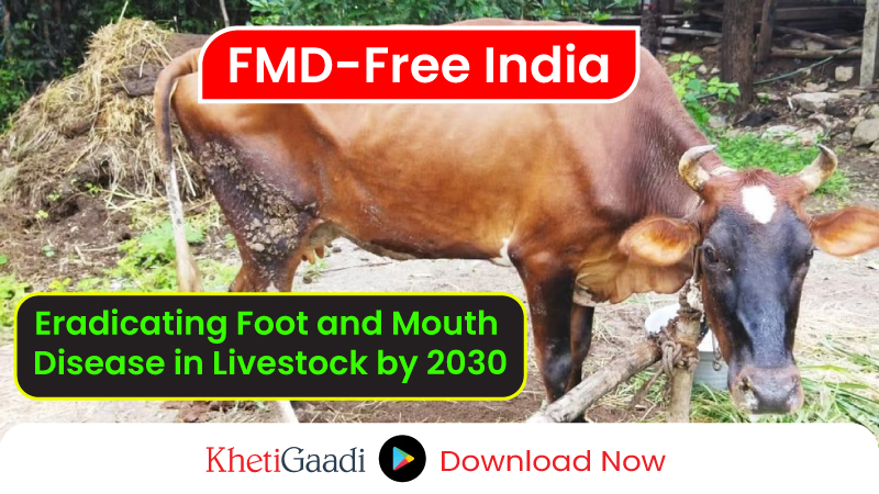 India on Track to Eradicate Livestock Foot and Mouth Disease by 2030 