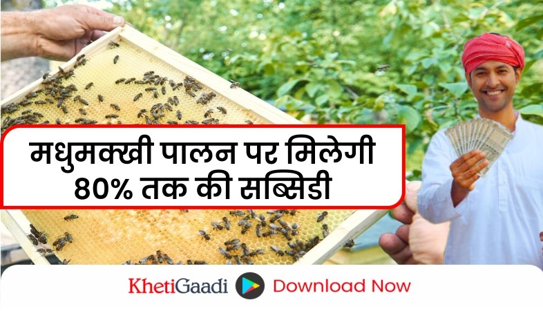 मधुमक्खी पालन पर 80% सब्सिडी,ऐसे करें आवेदन