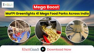 Ministry of Food Processing Industries Approves 41 Mega Food Parks