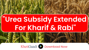 Urea Subsidy Scheme Extended for Both Kharif and Rabi Seasons 