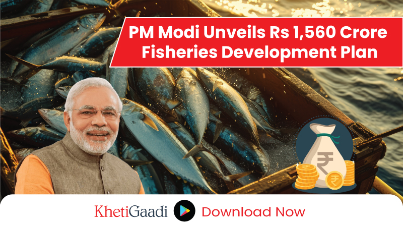 Transponder System Set to Revolutionize India’s Fish Production Sector: PM Modi 