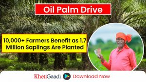 Mega Oil Palm Drive 2024: Plantation of 1.7 million Saplings Benefits Over 10,000 Farmers 