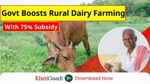 Government Provides 75% Subsidy to Boost Dairy Farming in Rural Areas 