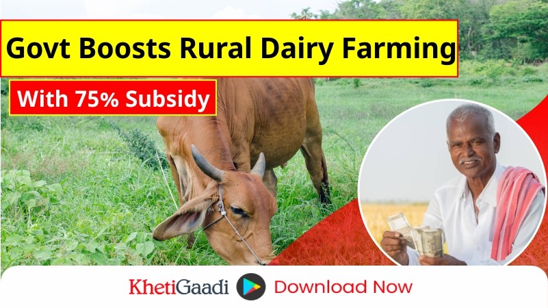 Government Provides 75% Subsidy to Boost Dairy Farming in Rural Areas 