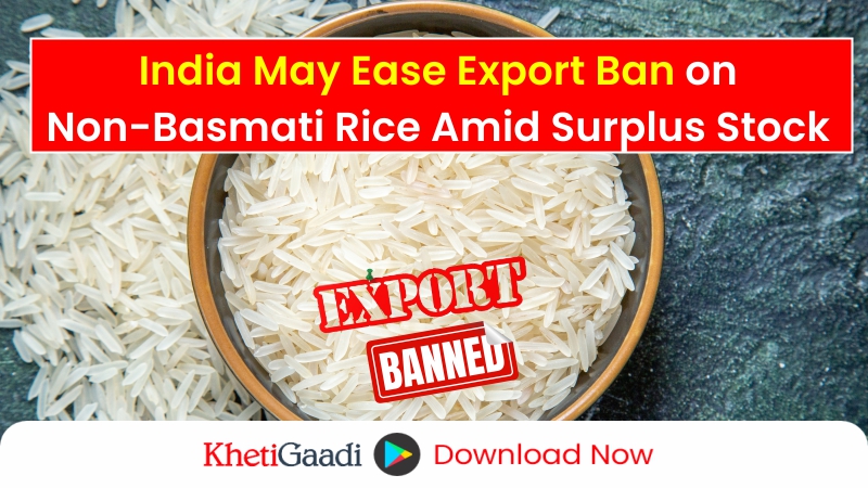 Government May Ease Export Ban on Non-Basmati White Rice Amid Surpluses 