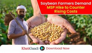 Farmers in Madhya Pradesh Protest Higher MSP for Soybean Amid Rising Costs 