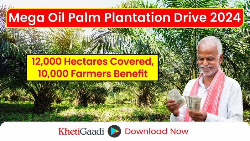 Oil Palm Plantation Drive 2024 Witnessed Over 17 Lakh Saplings Planted Across 15 States 