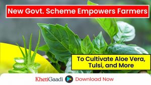 Govt. launches new scheme to promote the cultivation of medicinal plants in India