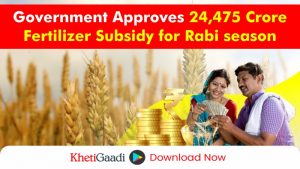 Cabinet Approves Nutrient-Based Subsidy (NBS) Rates for Rabi 2024 