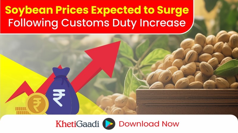 Government Raises Customs Duty, Clears Path for Soybean Price Hike 