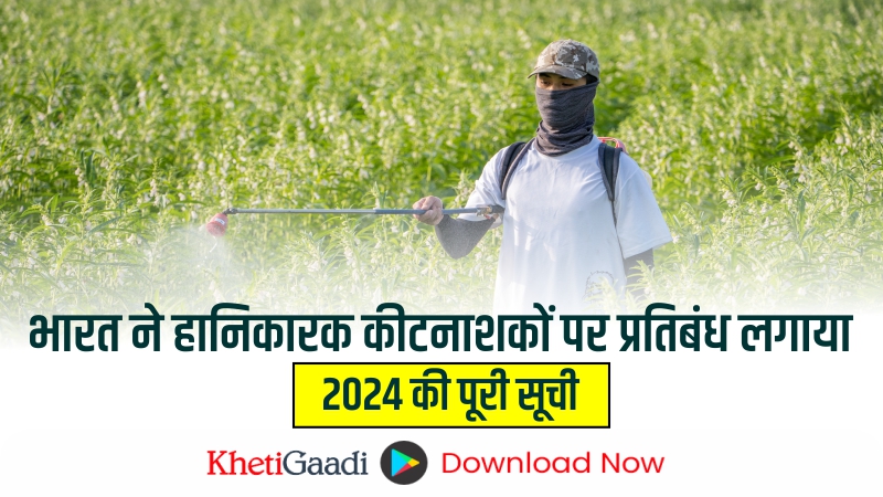 सरकार ने हानिकारक कीटनाशकों पर प्रतिबंध लगाया: 2024 की पूरी सूची जारी