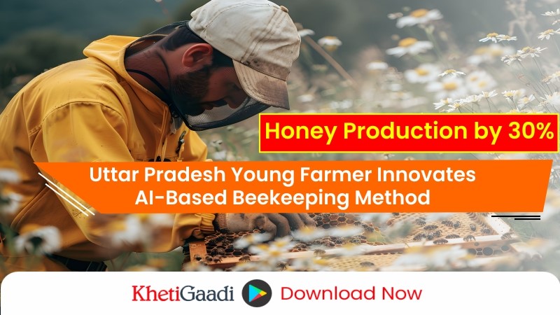 Young Farmer Develops AI-Based Method to Boost Honey Production by 30% 