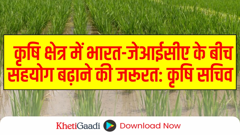 भारत और जापान अंतरराष्ट्रीय सहयोग एजेंसी (JICA) के बीच कृषि क्षेत्र में सहयोग को बढ़ाने की आवश्यकता: कृषि सचिव