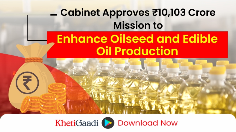 Cabinet Approves National Mission on Edible Oils – Oilseeds (NMEO-Oilseeds) 