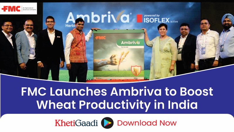 FMC Introduces Ambriva Herbicide to Aid Wheat Farmers in India 