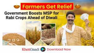 Pre-Diwali bumper relief to farmers – Cabinet approves MSP hike on Rabi crops 