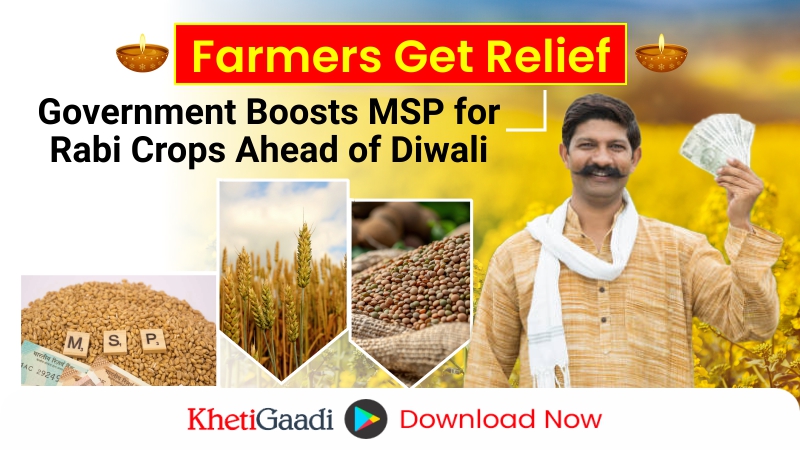 Pre-Diwali bumper relief to farmers – Cabinet approves MSP hike on Rabi crops 