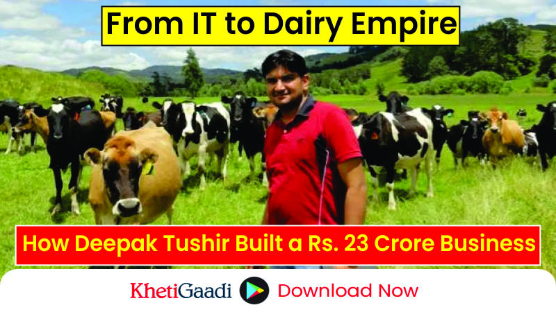 Haryana Engineer Runs a Dairy Business with an Annual Turnover of Rs. 23 Crores 