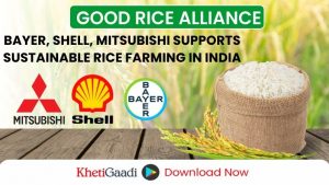 Bayer, GenZero, Shell, and Mitsubishi Support Rice Farmers in India through the Good Rice Alliance 