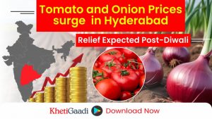 Vegetable Prices Skyrocket in Hyderabad; Relief Expected After Diwali 