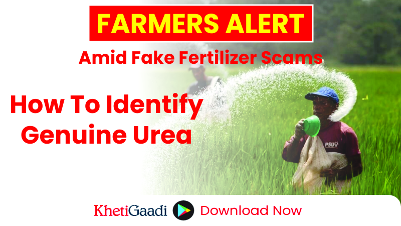 Farmers Beware: Fraudsters Selling Fake Fertilizers — Here’s How to Identify Genuine Urea 