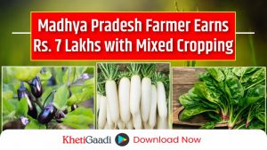 Madhya Pradesh Farmer Earns Rs. 7 Lakhs through Mix Cropping 