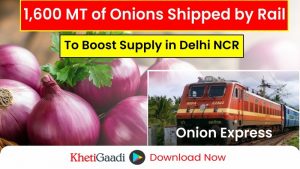 1,600 MT of Onions Transported by Rail to Boost Supply in Delhi NCR Consignment is expected to reach Delhi NCR by October 20, 2024 