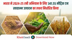 रबी अभियान 2024: भारत का खाद्यान्न उत्पादन का लक्ष्य 341.55 मिलियन टन – जानिए महत्वपूर्ण बातें