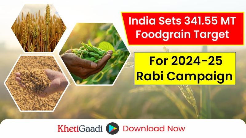 Rabi Campaign 2024: India Eyes 341.55 Mn Tonnes in Foodgrain Production-Here’s What You Need to Know 