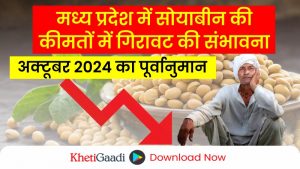 मध्य प्रदेश में सोयाबीन की कीमतें; अक्टूबर 2024 में क्या उम्मीद की जा सकती है?