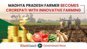 Madhya Pradesh Farmer Becomes Crorepati Through Innovative Vegetable Farming 