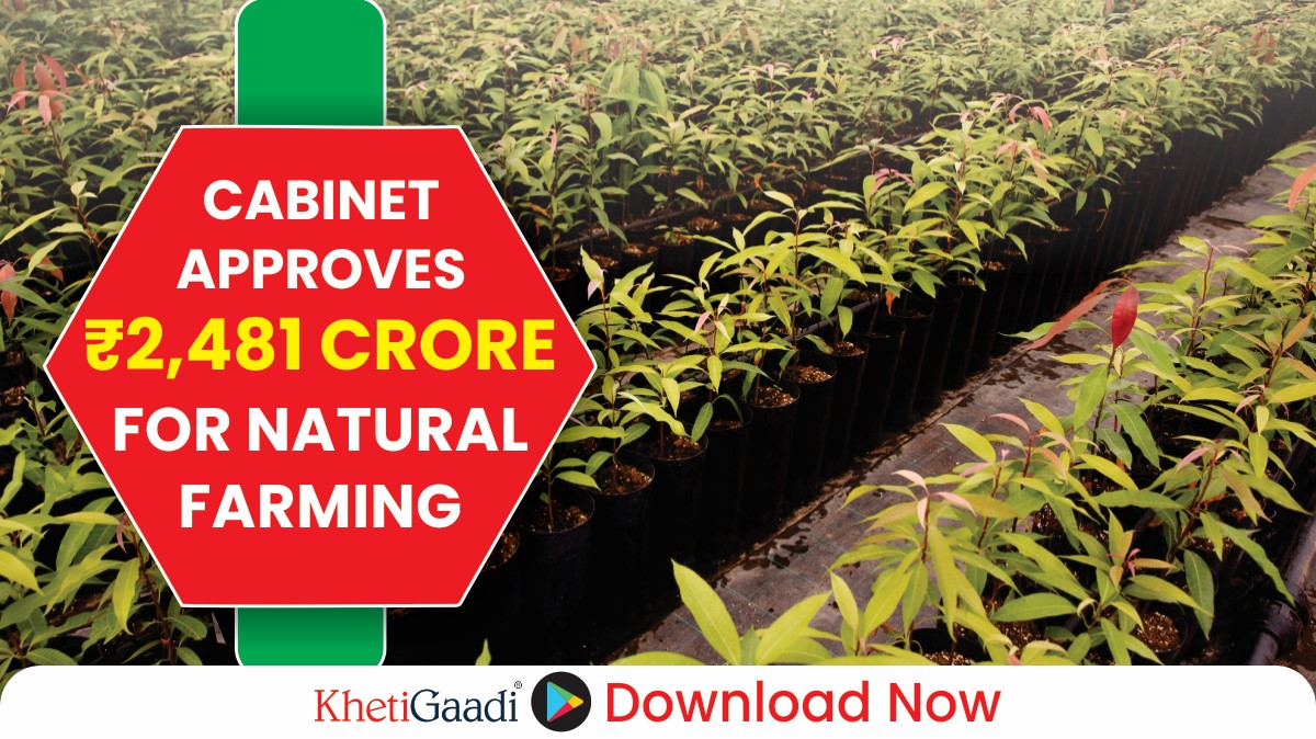 Cabinet Approves ₹2,481 Crore National Mission on Natural Farming to Empower 1 Crore Farmers