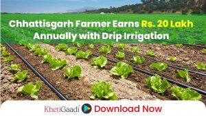 Chhattisgarh Farmer uses Drip Irrigation to reap Rs. 20 Lakh Per Year