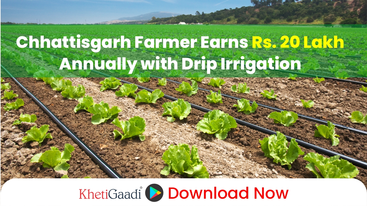 Chhattisgarh Farmer uses Drip Irrigation to reap Rs. 20 Lakh Per Year