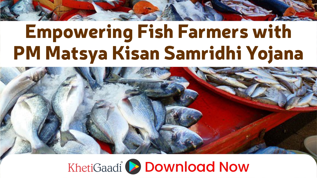 Department of Fisheries Advances Implementation of PM Matsya Kisan Samridhi Sah-Yojana