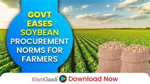 Central Govt Eases Soybean Procurement Norms for Farmers Amid Moisture Concerns 