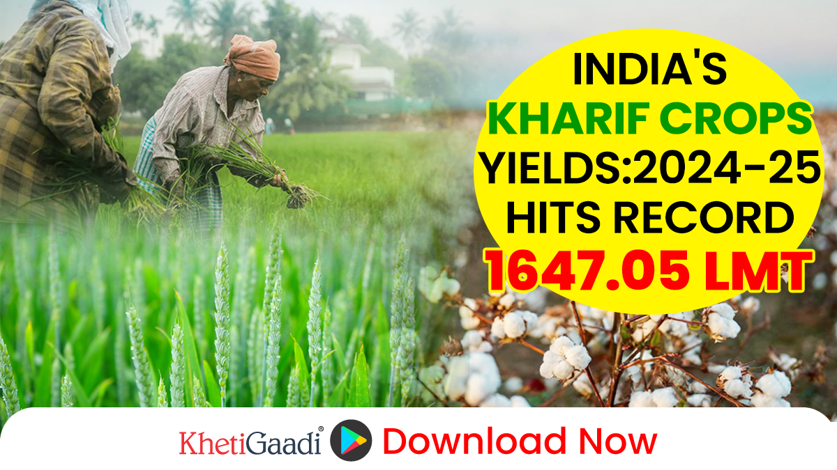 Kharif Foodgrain Production for 2024-25 Estimated at 1647.05 Lakh Metric Tonnes 