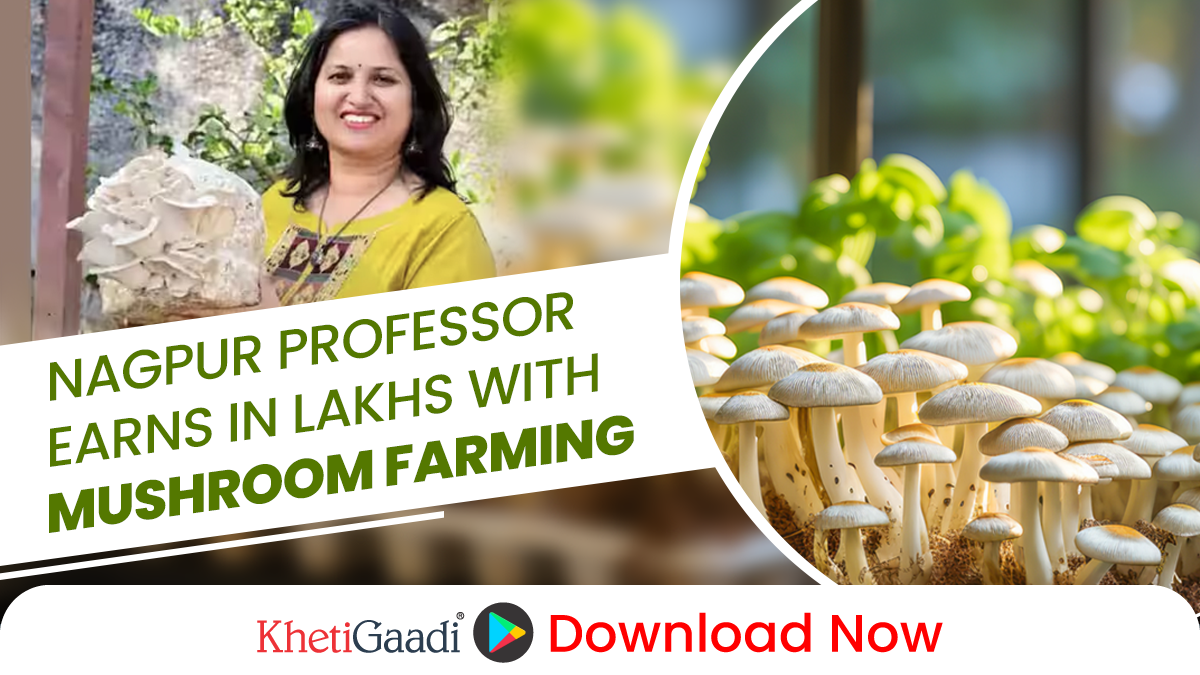 Ex-Professor from Nagpur is now earning ₹4 Lakh Monthly with Sustainable Mushroom Farming