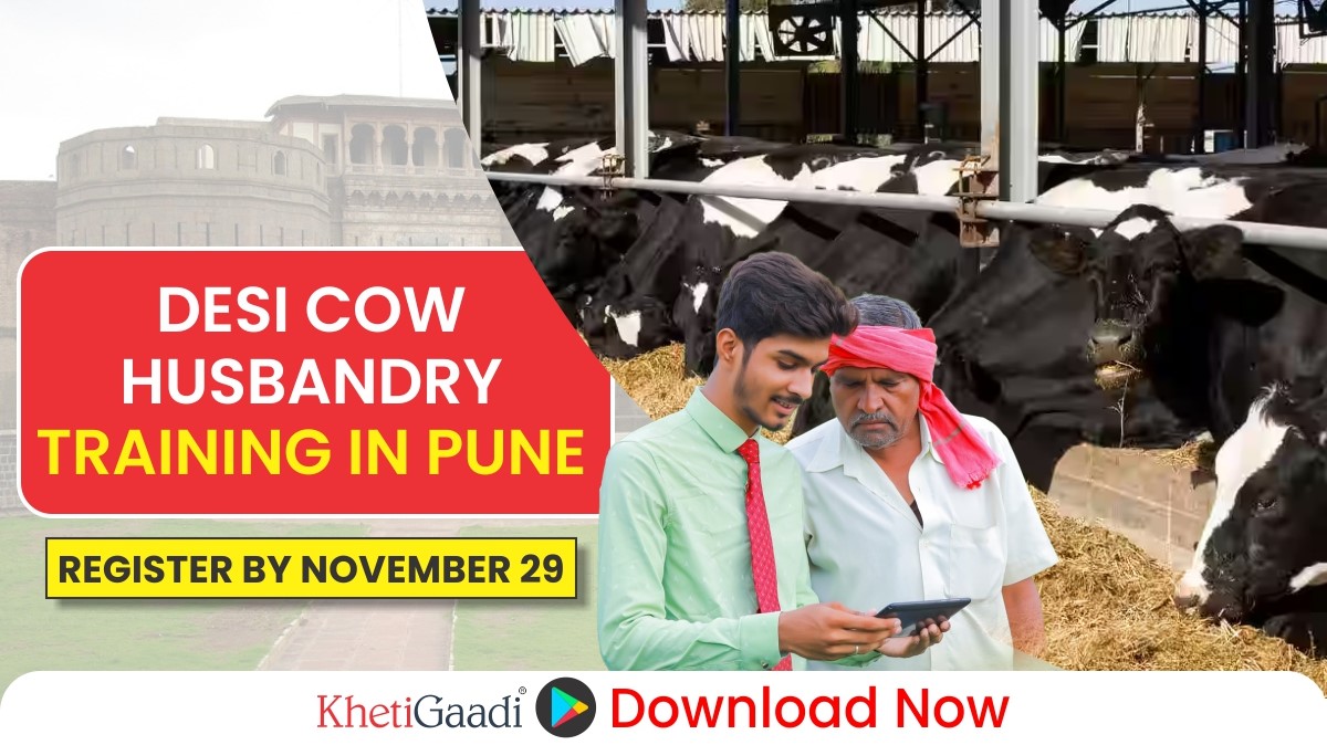 A special three-month training program on Sustainable Indigenous Cow Husbandry to be held in Pune – Apply ‘here’ 