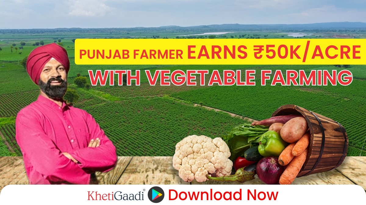 From vegetable farming alone, a farmer earns around ₹50,000 per acre 