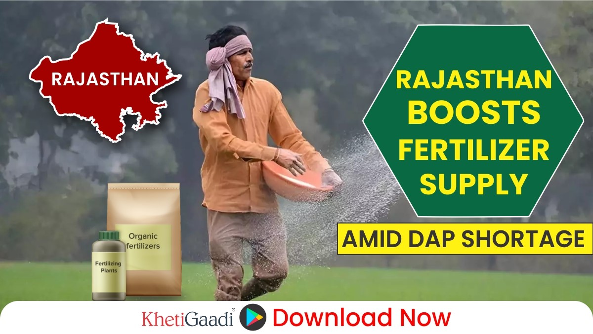 Due to the shortage of DAP fertilizer, the use of these fertilizers increased manifold