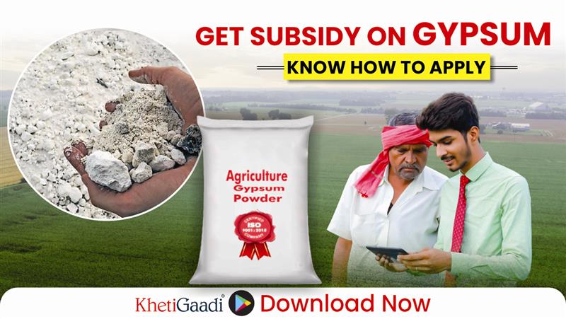 Farmers will get subsidy on gypsum to increase soil fertility 