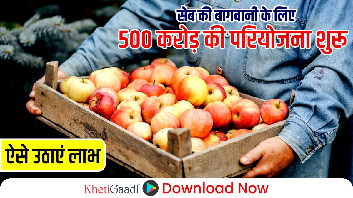 सरकार की सेब किसानों के लिए 500 करोड़ परियोजना, जानिए कैसे मिलेगा लाभ