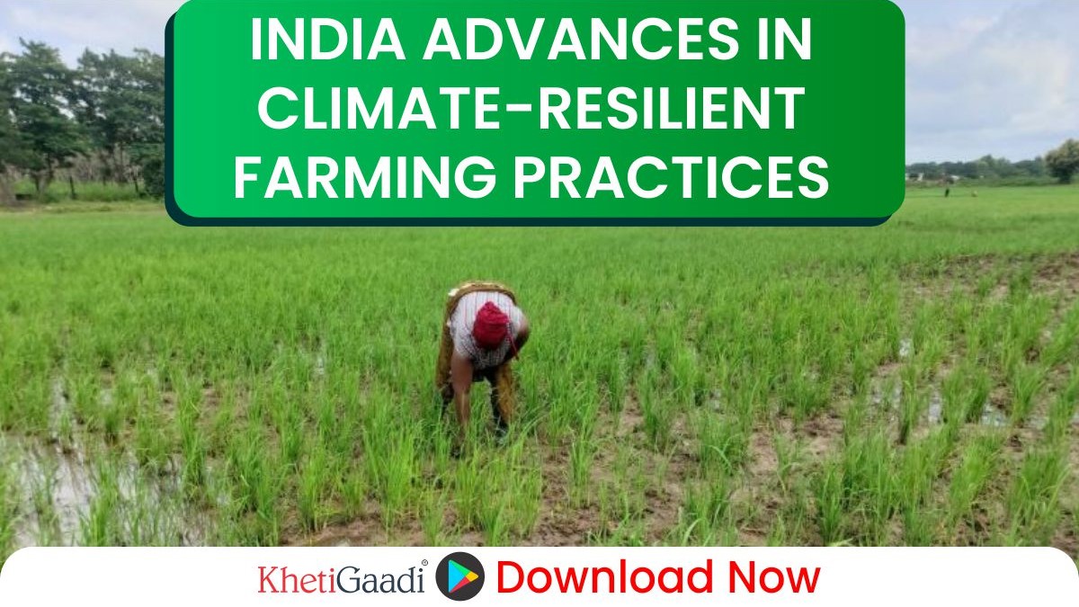 India Drives Climate-Resilient Agriculture Through Innovation and Policy Initiatives