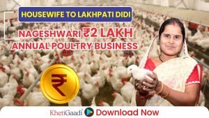 Lakhpati Didi: How Nageshwari Earns Lakhs from 500 Chickens