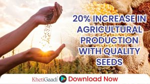 Production can be increased by 20 percent with good seeds: Agriculture Minister Shivraj Singh Chauhan 